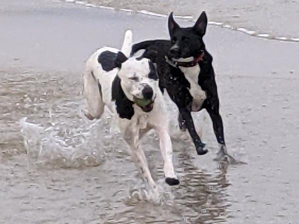 /Images/uploads/Congregation Beth Emeth/bethemeth/entries/17619thumb.jpg